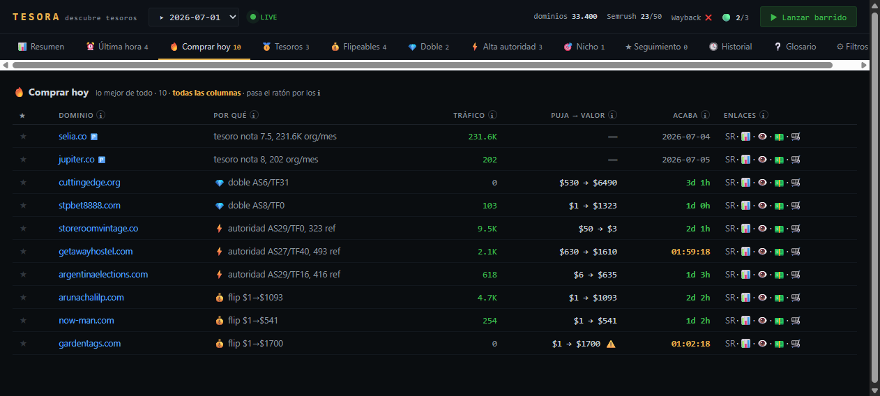 Tesora Buy Today table with scored domains, traffic, bid vs value and time remaining